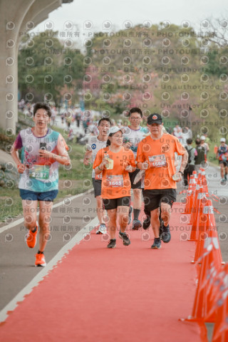 2026左岸竹東櫻花馬拉松Zhudong Sakura Marathon