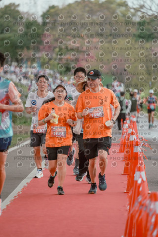 2026左岸竹東櫻花馬拉松Zhudong Sakura Marathon
