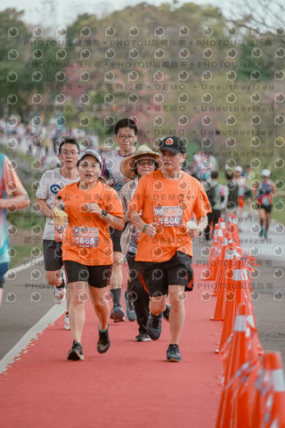 2026左岸竹東櫻花馬拉松Zhudong Sakura Marathon