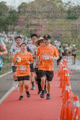 2026左岸竹東櫻花馬拉松Zhudong Sakura Marathon