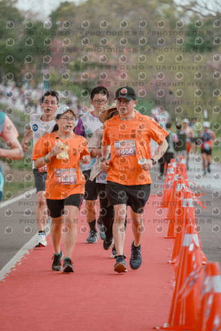 2026左岸竹東櫻花馬拉松Zhudong Sakura Marathon