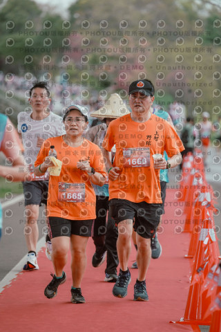 2026左岸竹東櫻花馬拉松Zhudong Sakura Marathon