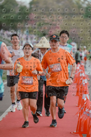 2026左岸竹東櫻花馬拉松Zhudong Sakura Marathon