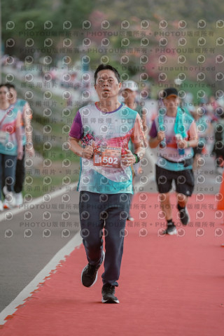 2026左岸竹東櫻花馬拉松Zhudong Sakura Marathon