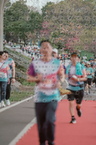 2026左岸竹東櫻花馬拉松Zhudong Sakura Marathon