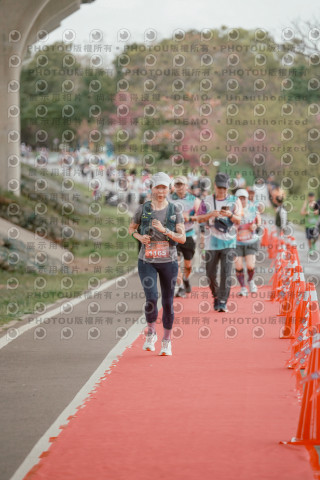 2026左岸竹東櫻花馬拉松Zhudong Sakura Marathon