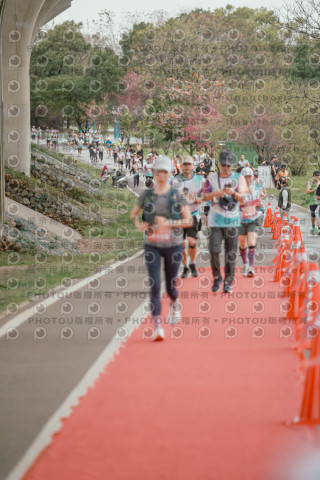 2026左岸竹東櫻花馬拉松Zhudong Sakura Marathon