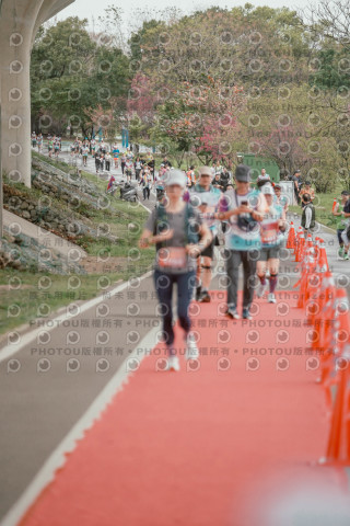 2026左岸竹東櫻花馬拉松Zhudong Sakura Marathon