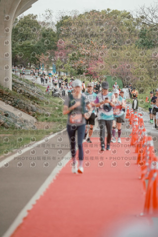 2026左岸竹東櫻花馬拉松Zhudong Sakura Marathon