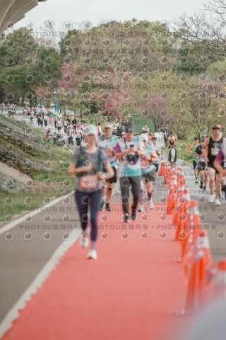 2026左岸竹東櫻花馬拉松Zhudong Sakura Marathon