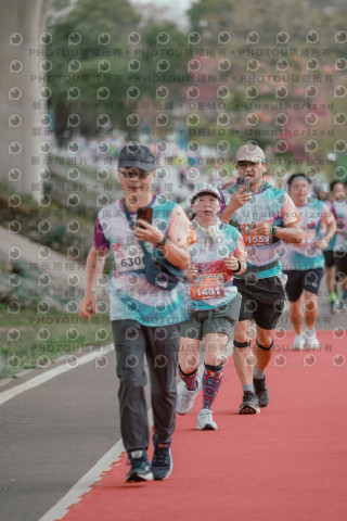 2026左岸竹東櫻花馬拉松Zhudong Sakura Marathon