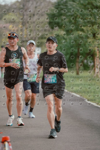 2026左岸竹東櫻花馬拉松Zhudong Sakura Marathon