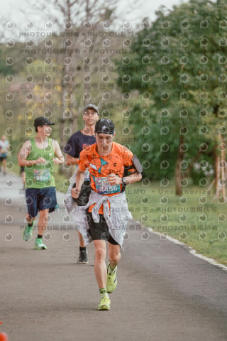 2026左岸竹東櫻花馬拉松Zhudong Sakura Marathon