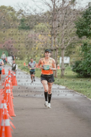 2026左岸竹東櫻花馬拉松Zhudong Sakura Marathon