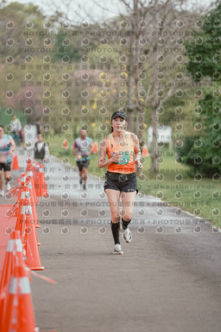 2026左岸竹東櫻花馬拉松Zhudong Sakura Marathon