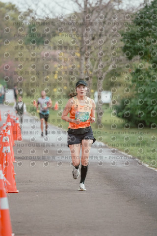 2026左岸竹東櫻花馬拉松Zhudong Sakura Marathon