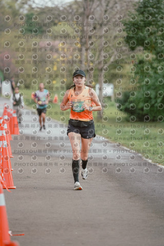 2026左岸竹東櫻花馬拉松Zhudong Sakura Marathon