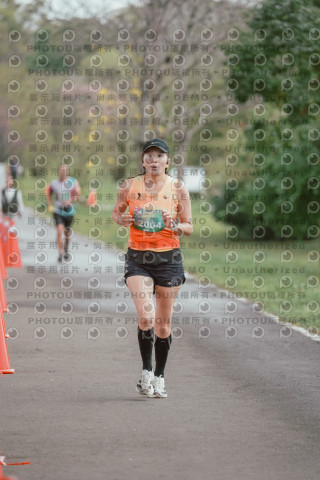 2026左岸竹東櫻花馬拉松Zhudong Sakura Marathon
