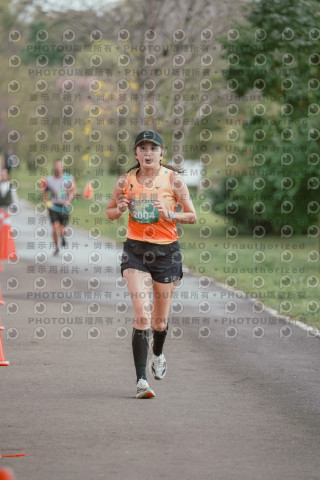 2026左岸竹東櫻花馬拉松Zhudong Sakura Marathon