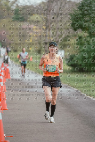 2026左岸竹東櫻花馬拉松Zhudong Sakura Marathon