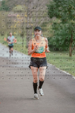 2026左岸竹東櫻花馬拉松Zhudong Sakura Marathon