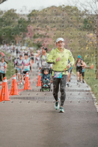 2026左岸竹東櫻花馬拉松Zhudong Sakura Marathon