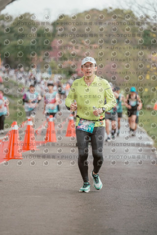 2026左岸竹東櫻花馬拉松Zhudong Sakura Marathon