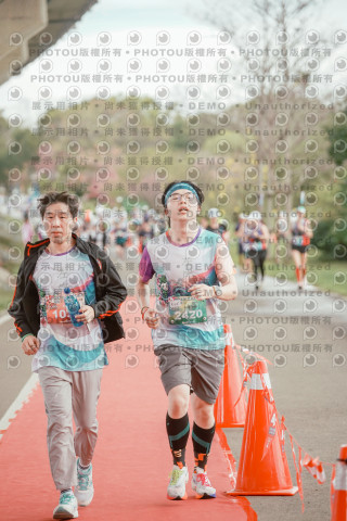 2026左岸竹東櫻花馬拉松Zhudong Sakura Marathon