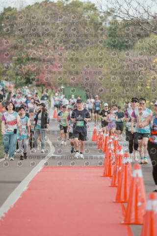2026左岸竹東櫻花馬拉松Zhudong Sakura Marathon