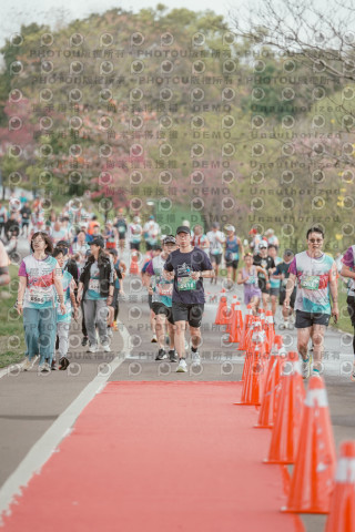 2026左岸竹東櫻花馬拉松Zhudong Sakura Marathon