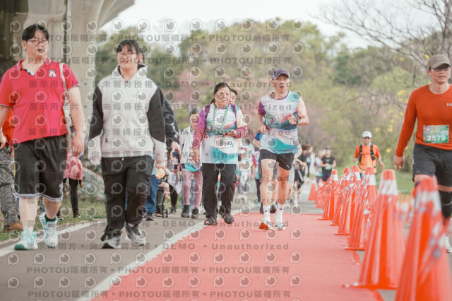 2026左岸竹東櫻花馬拉松Zhudong Sakura Marathon
