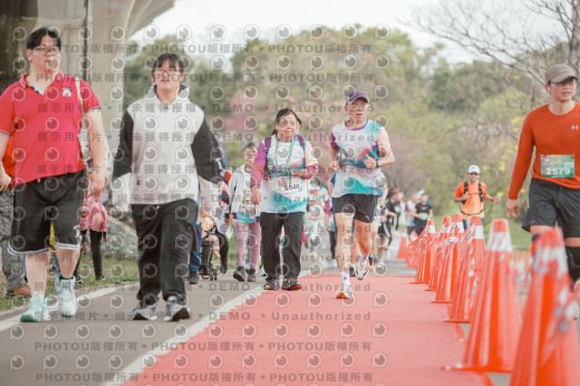 2026左岸竹東櫻花馬拉松Zhudong Sakura Marathon