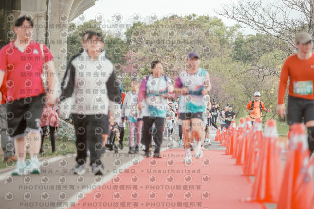 2026左岸竹東櫻花馬拉松Zhudong Sakura Marathon