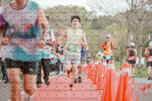 2026左岸竹東櫻花馬拉松Zhudong Sakura Marathon
