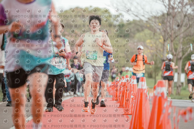 2026左岸竹東櫻花馬拉松Zhudong Sakura Marathon