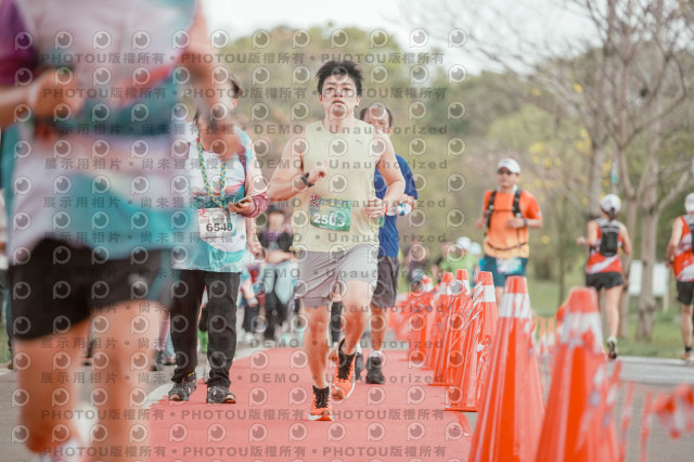2026左岸竹東櫻花馬拉松Zhudong Sakura Marathon