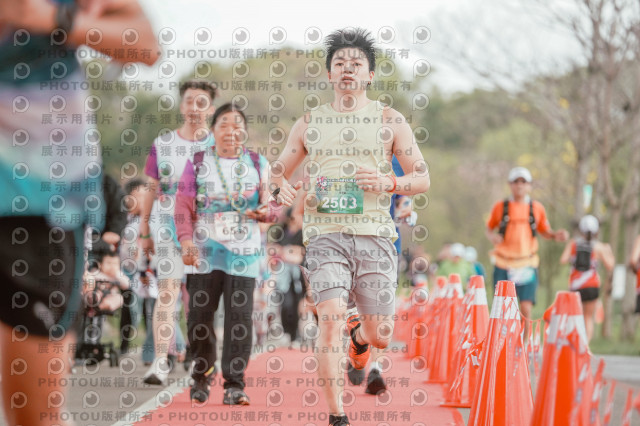 2026左岸竹東櫻花馬拉松Zhudong Sakura Marathon
