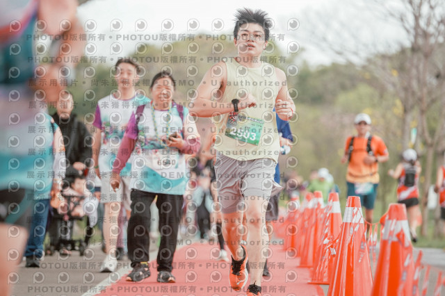 2026左岸竹東櫻花馬拉松Zhudong Sakura Marathon