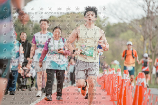2026左岸竹東櫻花馬拉松Zhudong Sakura Marathon