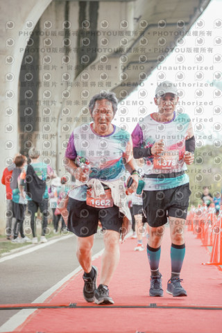 2026左岸竹東櫻花馬拉松Zhudong Sakura Marathon