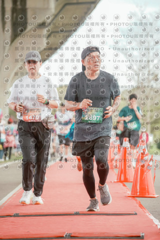 2026左岸竹東櫻花馬拉松Zhudong Sakura Marathon