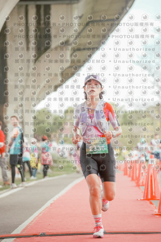 2026左岸竹東櫻花馬拉松Zhudong Sakura Marathon