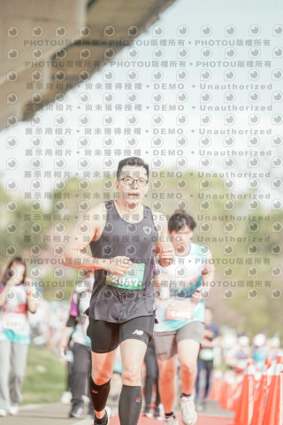 2026左岸竹東櫻花馬拉松Zhudong Sakura Marathon