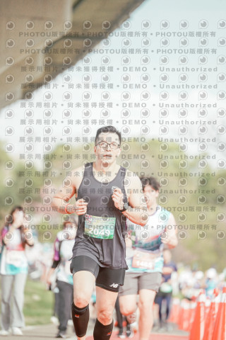 2026左岸竹東櫻花馬拉松Zhudong Sakura Marathon