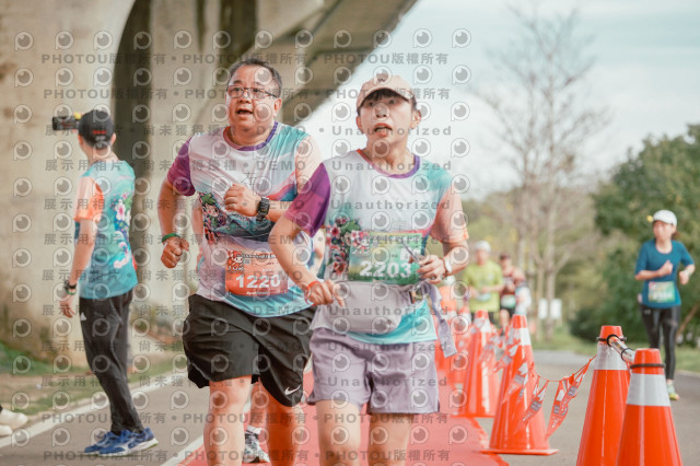 2026左岸竹東櫻花馬拉松Zhudong Sakura Marathon