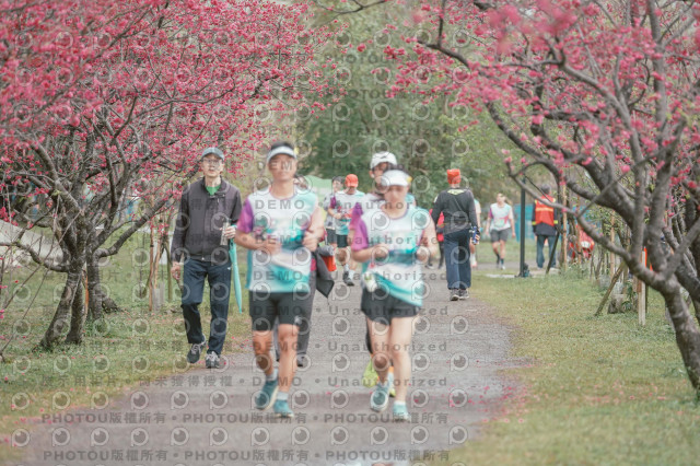 2026左岸竹東櫻花馬拉松Zhudong Sakura Marathon