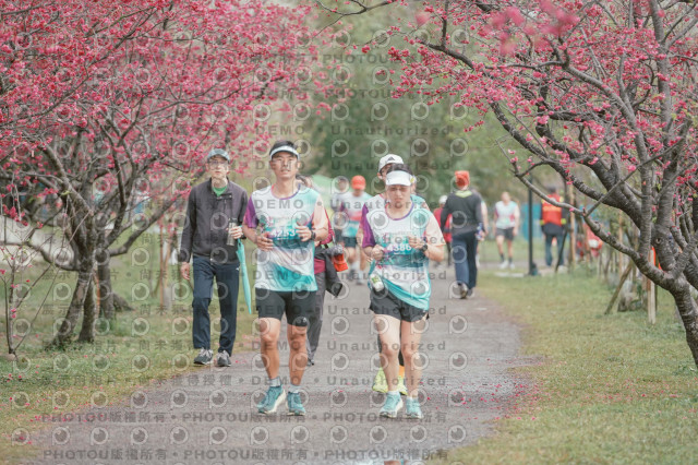 2026左岸竹東櫻花馬拉松Zhudong Sakura Marathon