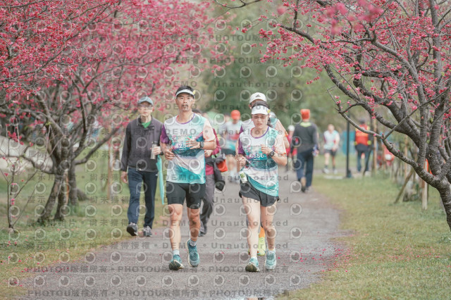 2026左岸竹東櫻花馬拉松Zhudong Sakura Marathon