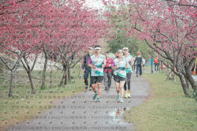 2026左岸竹東櫻花馬拉松Zhudong Sakura Marathon