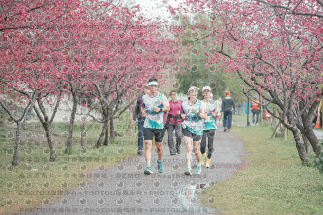 2026左岸竹東櫻花馬拉松Zhudong Sakura Marathon